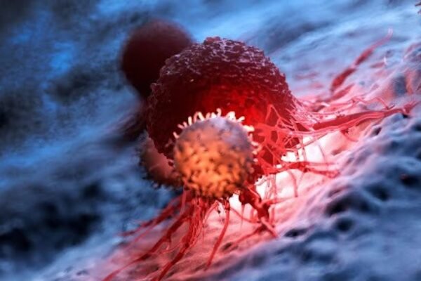 oncogenetica e uma importante aliada na prevencao do cancer