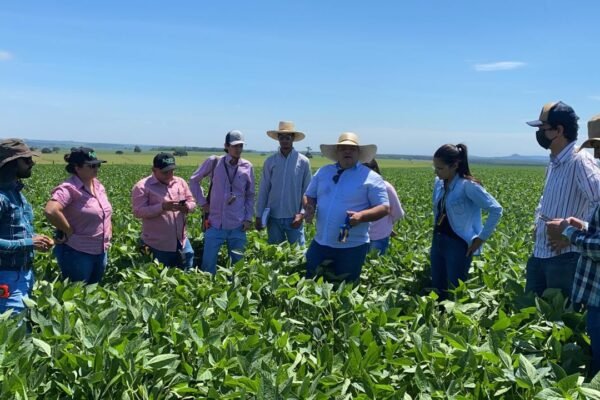 WhatsApp Image 2025 07 18 at 15.21.35