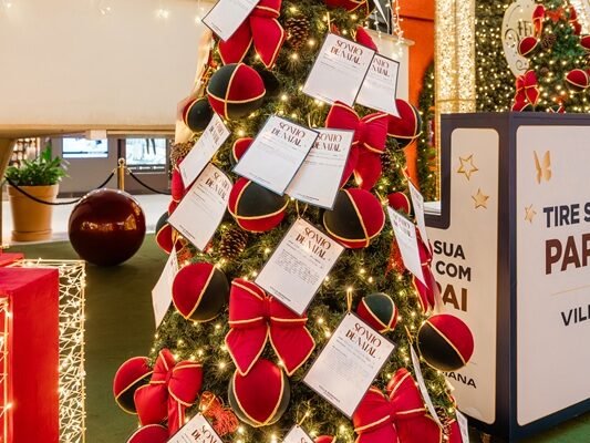 Photos @LarissaTrentini 15