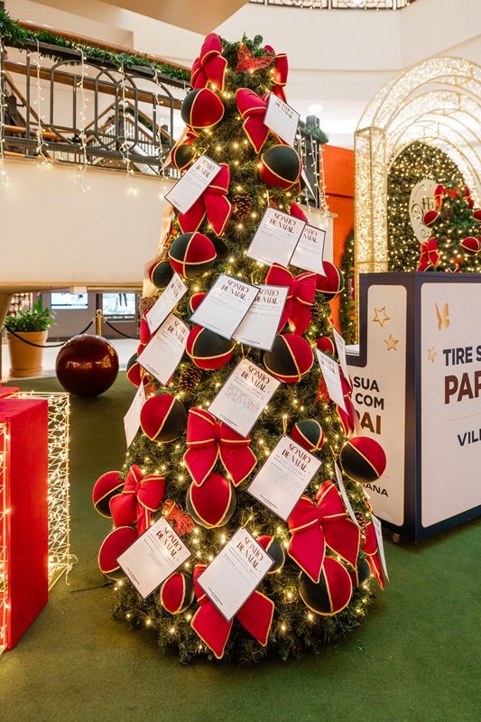 Photos @LarissaTrentini 15