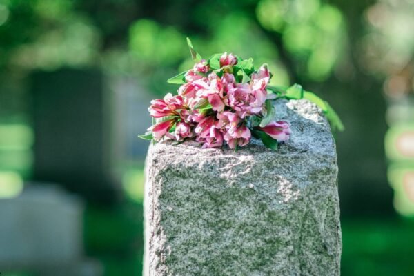 unnamed 2025 11 27T184120.851