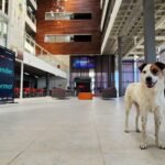 Orion horizontal interna Foto Pablo Gomes scaled