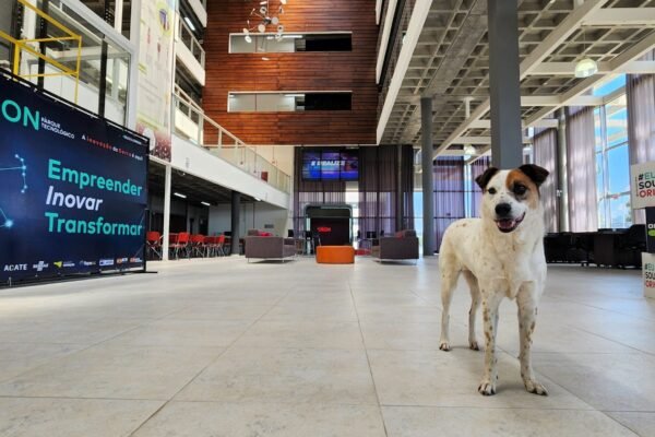 Orion horizontal interna Foto Pablo Gomes scaled