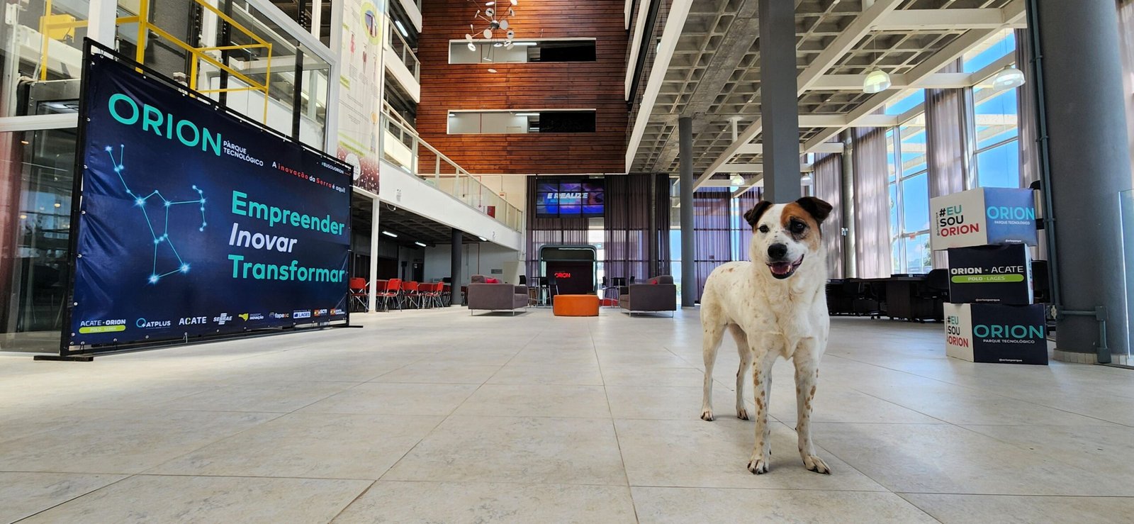 Orion horizontal interna Foto Pablo Gomes scaled