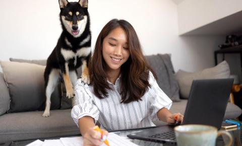 Vagas de emprego: DogHero tem novas oportunidades em aberto