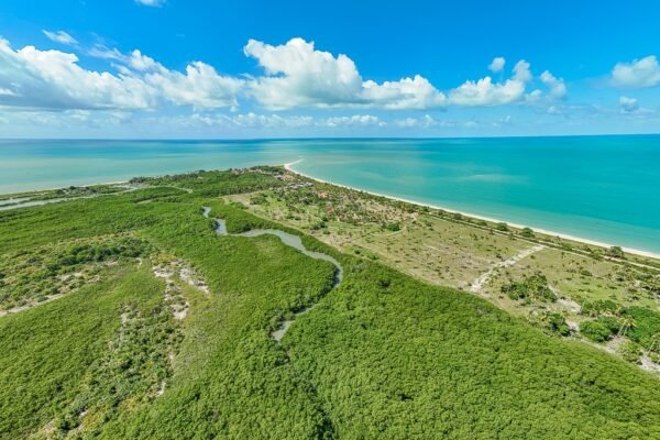 Destino no sul da Bahia combina natureza preservada, baixa movimentação e estrutura de hospedagem integrada ao ambiente local