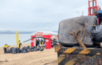 Fort Atacadista, do Grupo Pereira, é o patrocinador mantenedor do projeto Limpeza dos Mares desde 2017 - Foto Divulgação